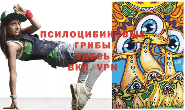 apvp Володарск