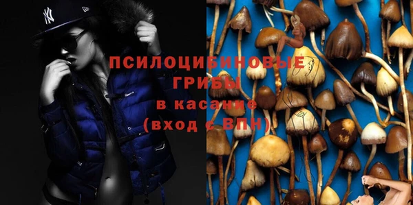 apvp Володарск