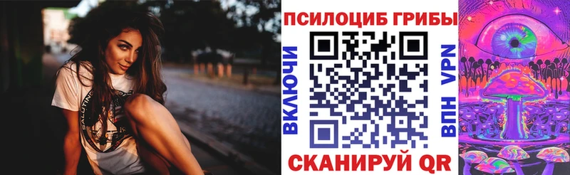 Галлюциногенные грибы Psilocybine cubensis  Купить где  Ковдор 